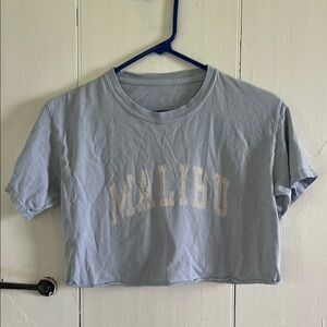 Brandy Melville Light Blue Malibu Crop Top